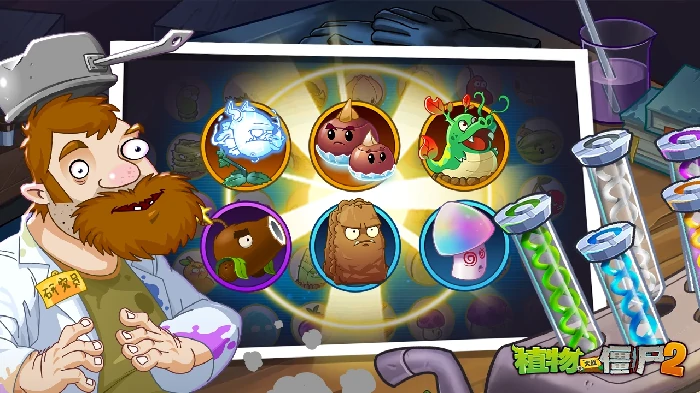 Z公司版本上新内容介绍