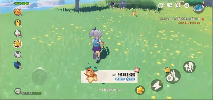 绿耳松鼠技能搭配攻略
