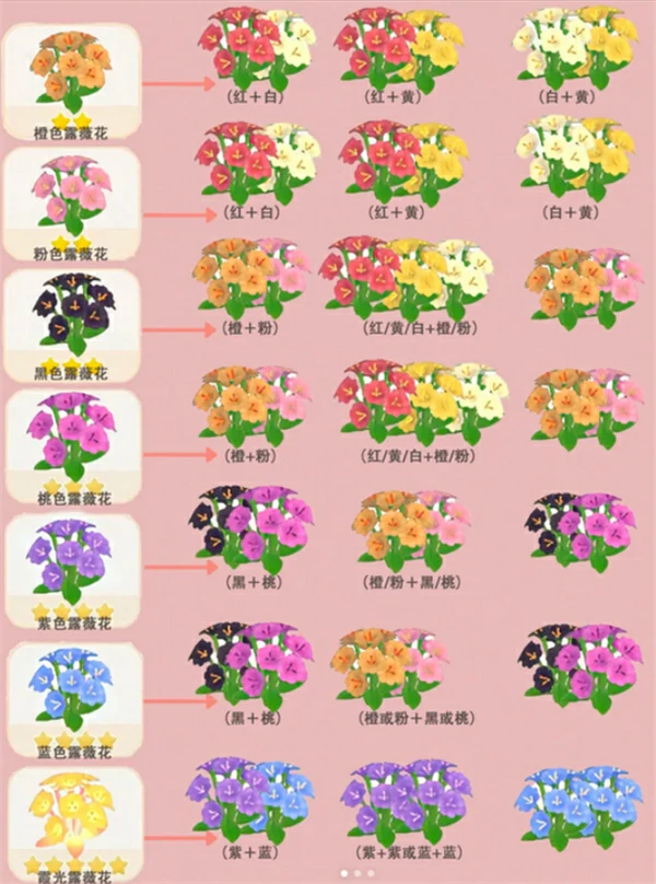 露薇花杂交培育方法