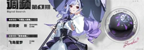 2.3前瞻直播内容介绍