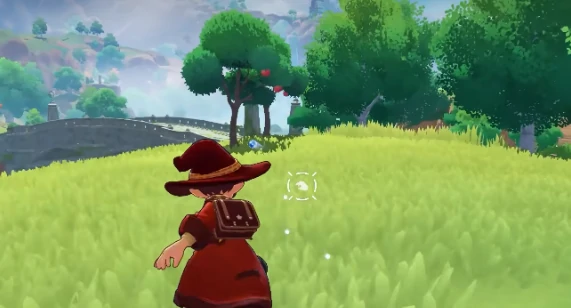 可可果树位置一览