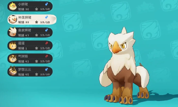 神圣狮鹫位置一览