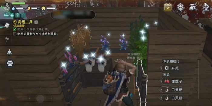 白灵菇种植攻略