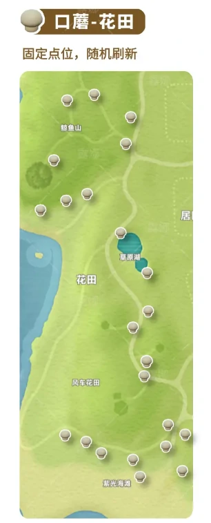 全蘑菇收集点位介绍