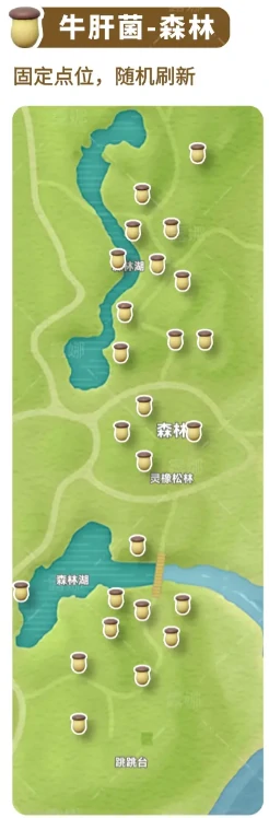 全蘑菇收集点位介绍