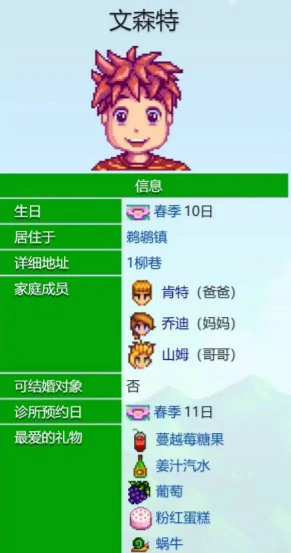 文森特爱心事件介绍