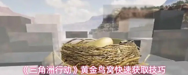 黄金鸟窝快速获取技巧