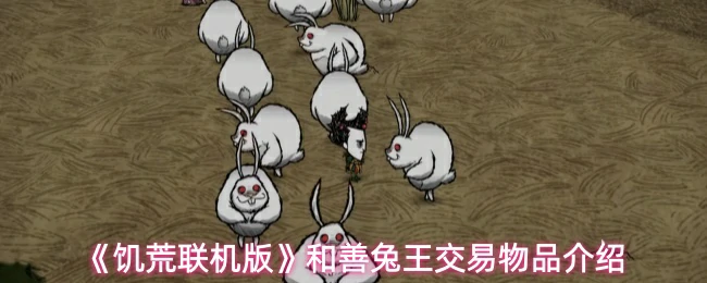 和善兔王交易物品介绍