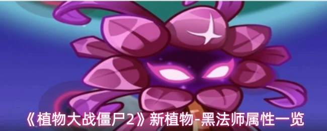 黑法师属性一览