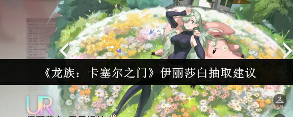 伊丽莎白抽取建议