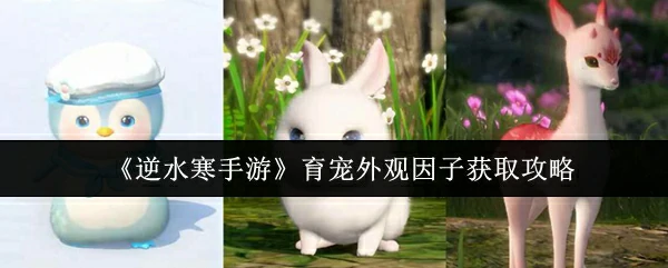 育宠外观因子获取攻略