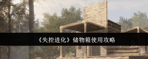 储物箱使用攻略