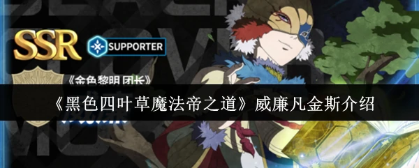 威廉凡金斯介绍