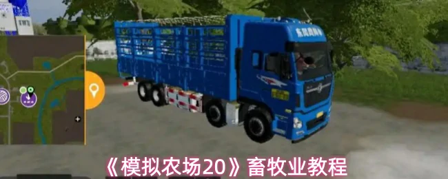 畜牧业教程
