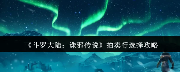 拍卖行选择攻略