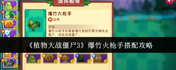 爆竹火枪手搭配攻略