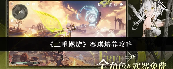 赛琪培养攻略