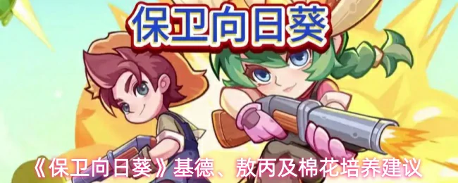 基德、敖丙及棉花培养建议