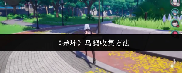 乌鸦收集方法