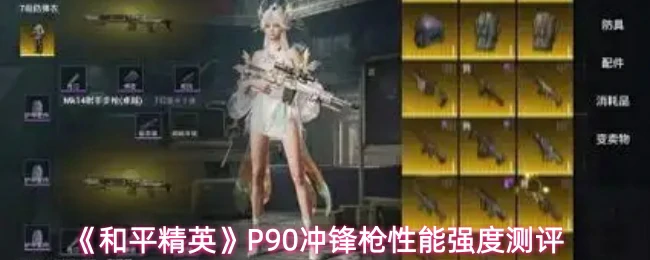 P90冲锋枪性能强度测评