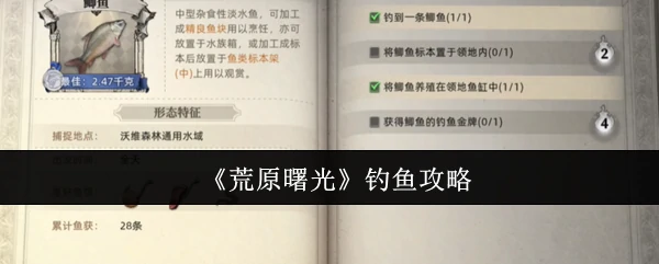 钓鱼攻略