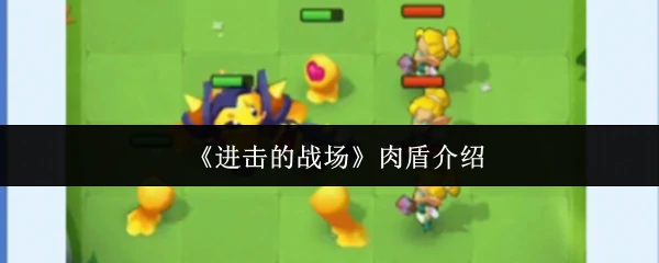 肉盾介绍