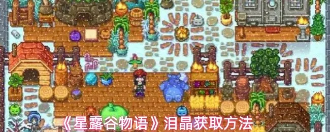 泪晶获取方法
