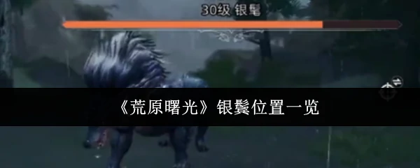 银鬓位置一览