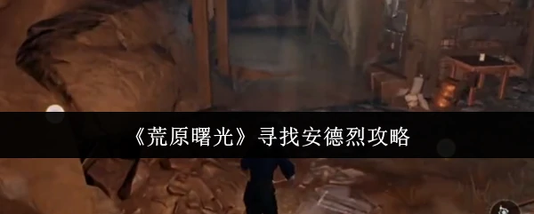 寻找安德烈攻略