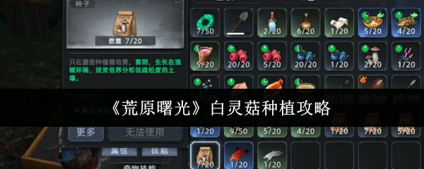 白灵菇种植攻略