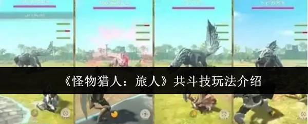 共斗技玩法介绍