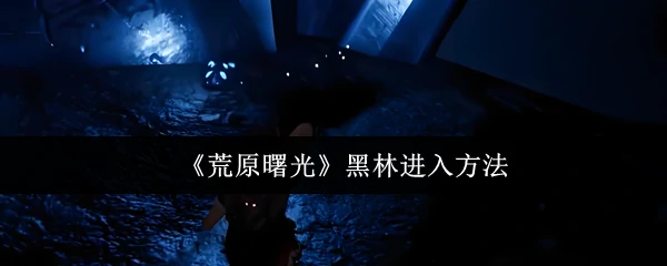 黑林进入方法