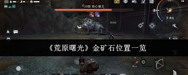 金矿石位置一览