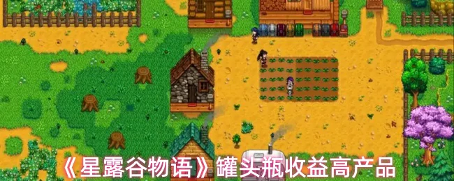 罐头瓶收益高产品