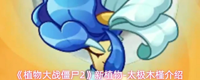 新植物-太极木槿介绍