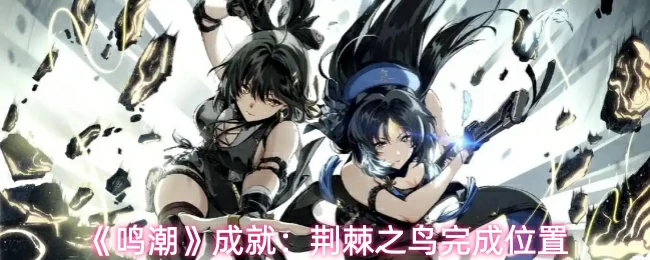 荆棘之鸟完成位置