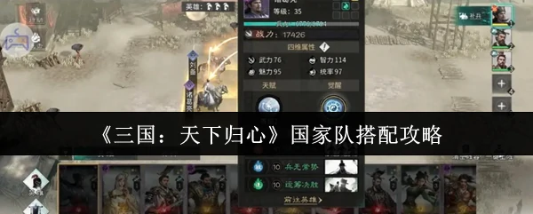 国家队搭配攻略