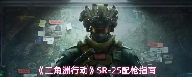 SR-25配枪指南