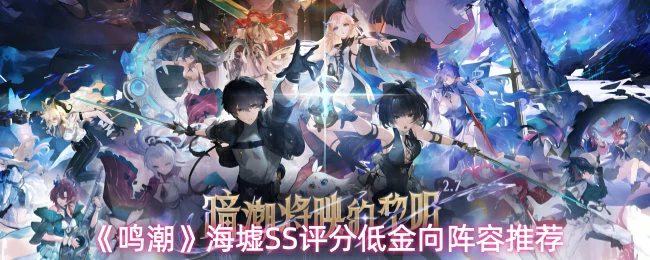 海墟SS评分低金向阵容推荐