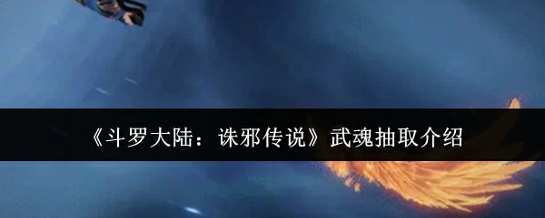 武魂抽取介绍