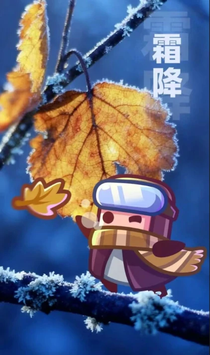 2025霜降兑换码分享