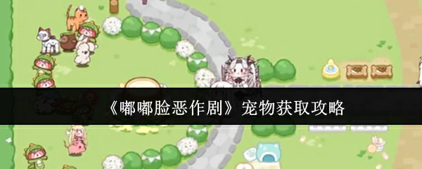 宠物获取攻略