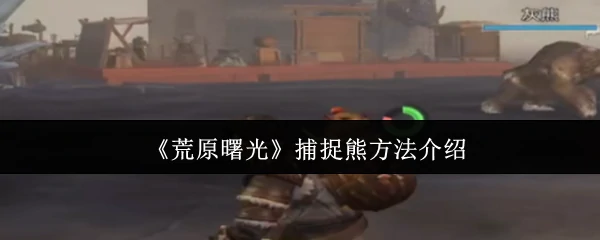 捕捉熊方法介绍