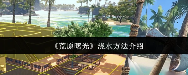 浇水方法介绍