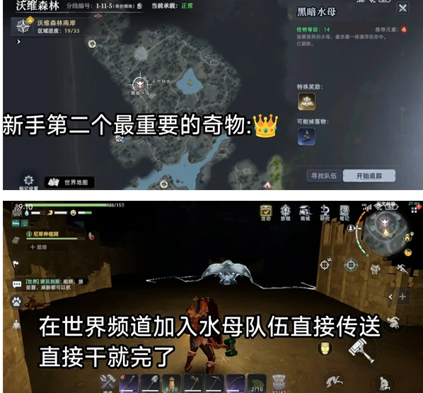 皇冠作用及激活途径