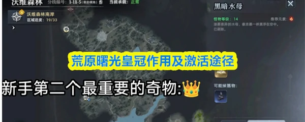 皇冠作用及激活途径