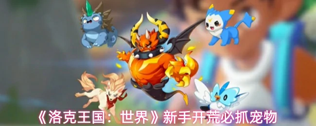 新手开荒必抓宠物