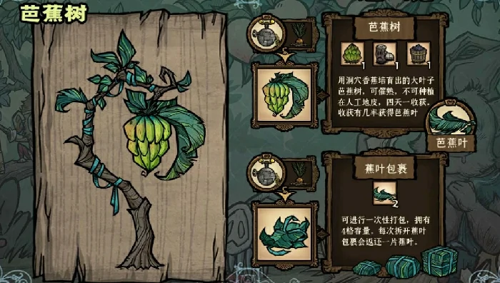 芭蕉树和莲花株特性介绍