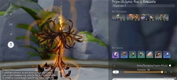 3.7前瞻直播福利分享