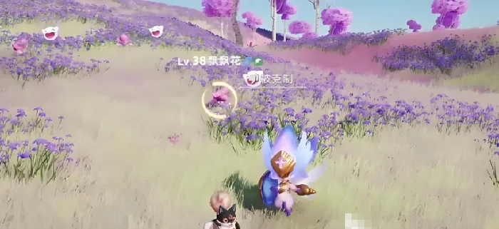 花舞兰精灵强度介绍